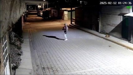 sujeto arrojo una piedra