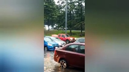 VIDEO: Viento y lluvia dejan árboles, postes y cable caídos en Toluca