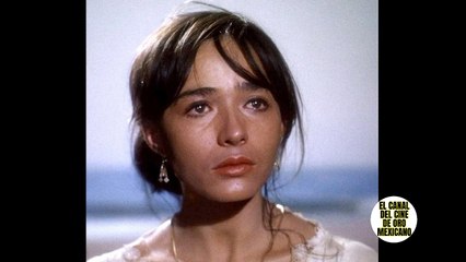 02333CCM PINA PELLICER Perdió la vida por el amor carnal de CARMEN MONTEJO