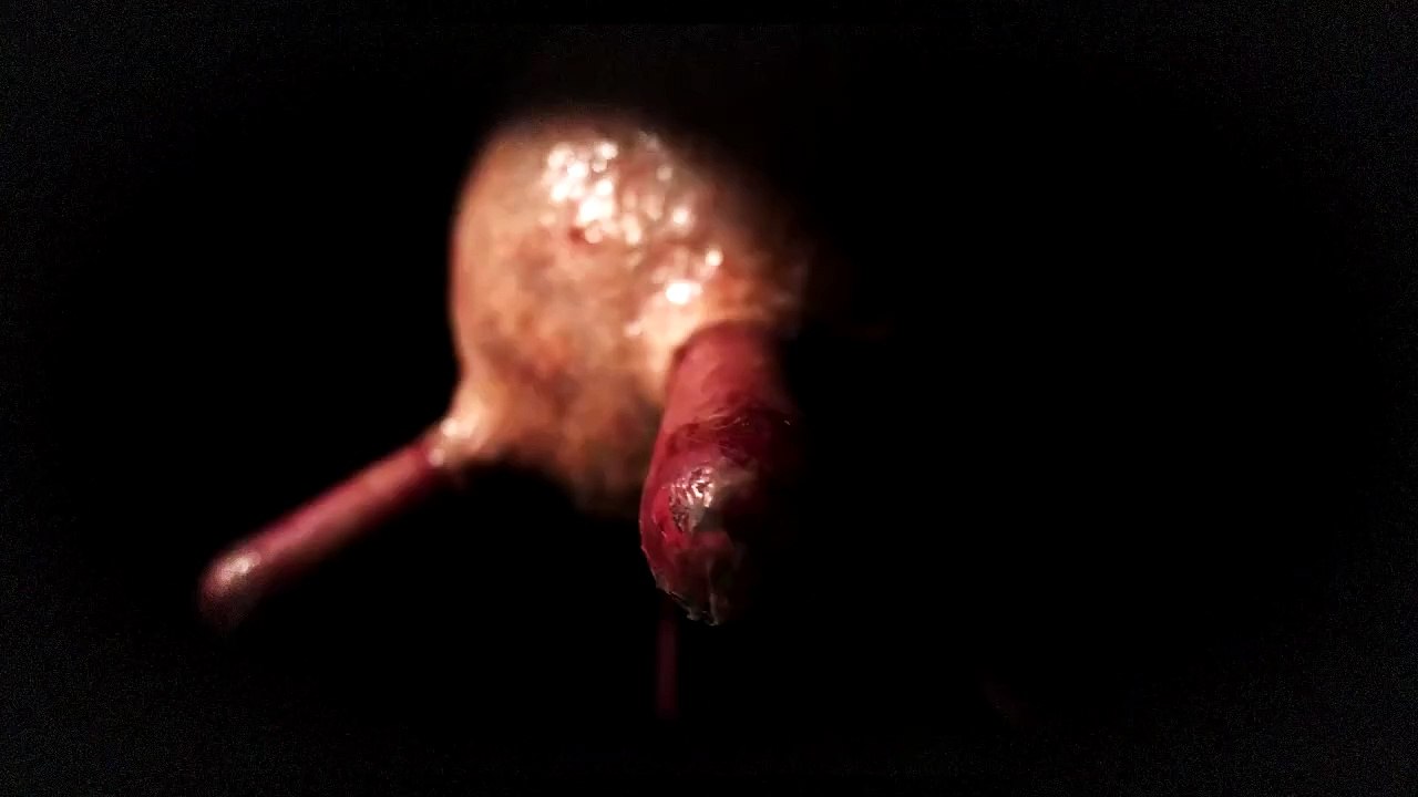 Das Ziegenkäsemachen aus der Sicht der Ziege | movie | 2025 | Official Trailer