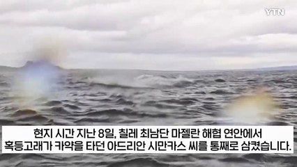 "잡아먹혀 죽는 줄"...카약 타던 남성 '꿀꺽' 삼킨 고래  [지금이뉴스] / YTN