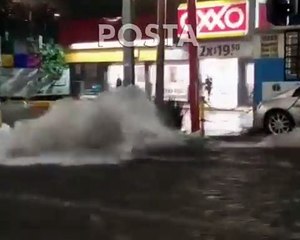 VIDEO: Caída de árboles y encharcamientos: Consecuencias de la lluvia en CDMX