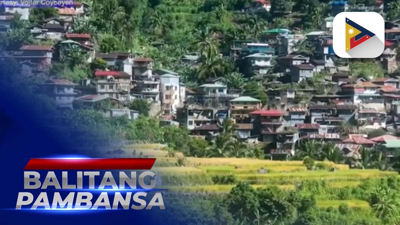 Shaknit o tradisyunal na paraan ng pagpiga sa katas ng tubo sa Bontoc, Mt. Province