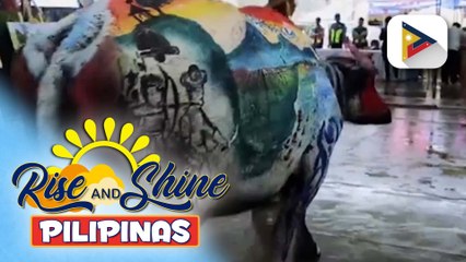 Pista ng Kalabaw 2025, umarangkada sa Aurora Province