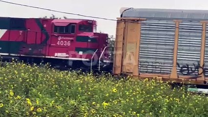 ¡Vive de milagro! Sobrevive hombre tras ser arrollado por un tren en Escobedo