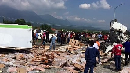 Volcadura de tráiler de pollo causa rapiña en Allende