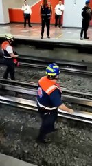 VIDEO: ¡Rescate plumífero! Salvan a gallina en las vías del Metro
