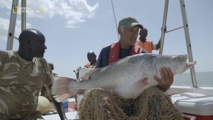 Unknown Waters with Jeremy Wade:  African Lake Giants
