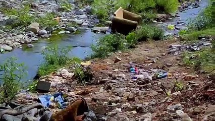 Buscan revivir al Arroyo Seco