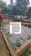 Jika dengan 1 cara GAGAL segera rubah, jangan monoton dengan 1 cara