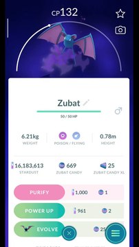 Pokémon GO-Purifying Shadow Zubat