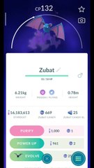 Pokémon GO-Purifying Shadow Zubat