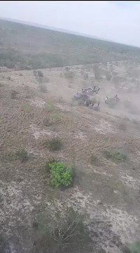 Detienen a dos hombres por “halconeo” en Sabinas Hidalgo