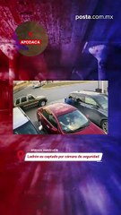 Ladrón es captado por cámara de seguridad; esto y más en POSTA Alerta