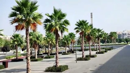 Juffali Masjid, worth-seeing the biggest and historical Masjid in Jeddah