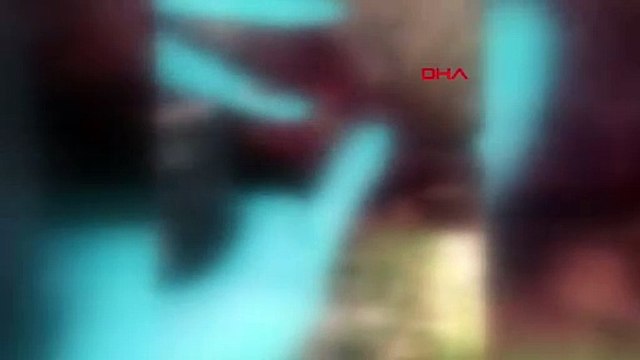 Başkent Ankara'da vahşet! Dördü de tüfekle vurularak öldürülmüş!