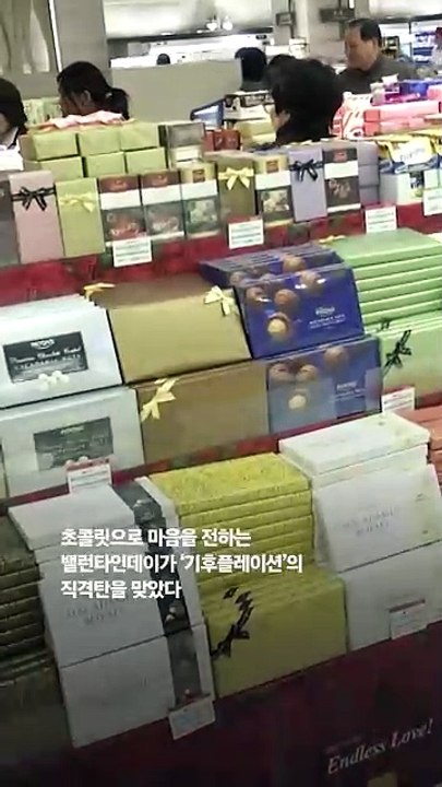 애인 줄 초콜릿 사려다 멈칫…가격 5배 뛴 코코아플레이션