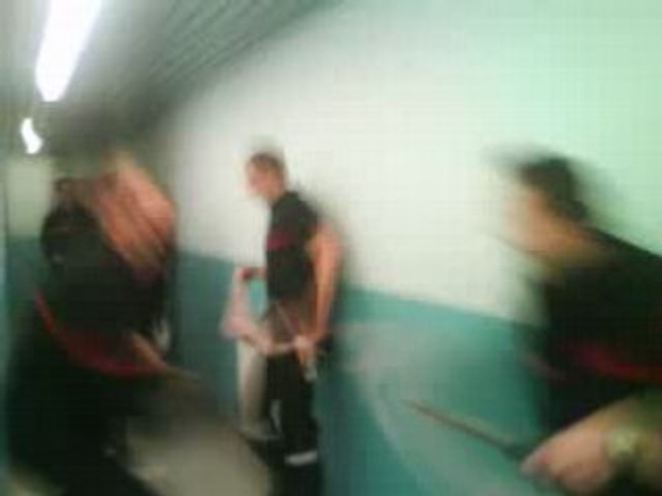 Ha les collègues