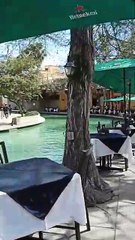 ¿Qué prefieren hacer los mexicanos el Día de San Valentín?