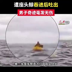 遭座头鲸吞进后吐出 男子奇迹毫发无伤