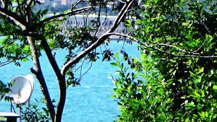 ÜSKÜDAR-PAŞA LİMANI-FETİPAŞA KORUSU-29.05.2024