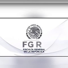 Deja cateo aseguramiento de droga en Guadalupe