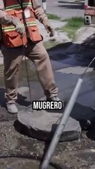 15 cosas que no debes tirar al sanitario para evitar que el drenaje colapse