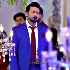 ham zamanay ki nigahon mei kabhi gumnam thay