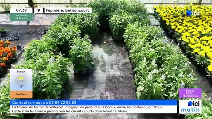 14/02/2025 - ici matin par ici Belfort Montbéliard en vidéo