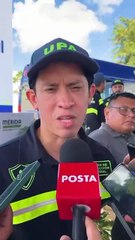 ¿Cuántos árboles se han adoptado en Mérida y de qué variedades son?