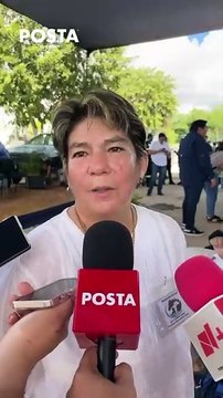 Navidad 2024: por estos motivos, no debes regalar cachorros