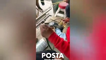 El carro de las mulitas; una tradición de más de 100 años que se mantiene viva en Metepec (VIDEO)