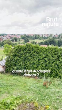 Pendant ce temps-là… – Ceci n'est pas une soucoupe volante mais une maison écologique