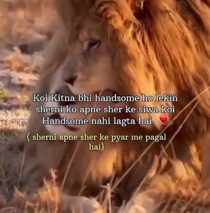 Sher Loves Sherni ♥️😍😘 #reels #shorts #spotlight #viralvideo #foryou #trending #snapchat #youtube