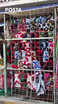 Navidad en Yucatán: Aumenta venta de disfraces para mascotas
