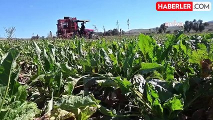 Yozgat'ta Çiftçilerin Pancar Kotalarının İptal Edilmesine Tepki