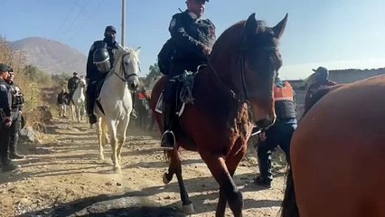 Recuperan reserva ecológica en Tláhuac, había un asentamiento irregular