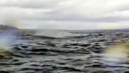 Balinanın yutup tükürdüğü adam yaşadıklarını anlattı