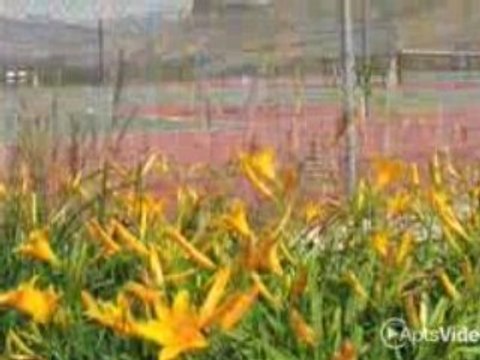 ForRent.com-Summit View Village Apartments For Rent in ...