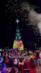 Navidad 2024: disfrutan encendido del pino navideño en Escobedo
