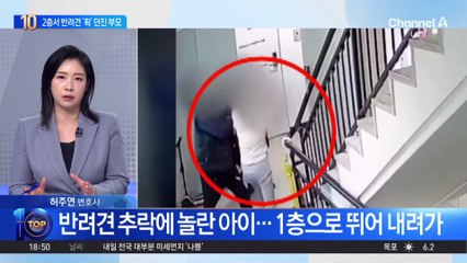 아이 보는데…2층서 반려견 ‘휙’ 던진 부모