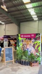 Feria Xmatkuil 2024: ¿Cuáles son las actividades del pabellón del Gobierno del Estado?