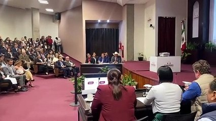 Veracruz en alerta por cultivos de aguacate Hass y su vínculo con el crimen organizado
