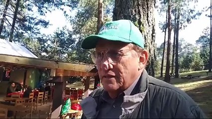 Conoce el corredor navideño que visitan 20 mil turistas cada año en Veracruz