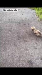 Tried but not much =))