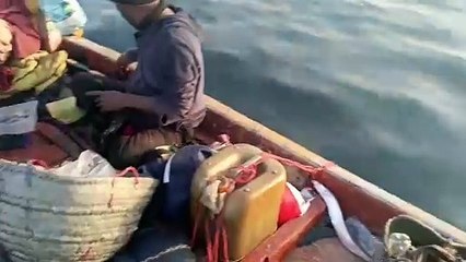 Fish hunting in Pakistan #karmawala #videos
