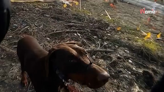 La police reçoit un signalement inquiétant : leur intervention va lier deux destins pour toujours (vidéo)