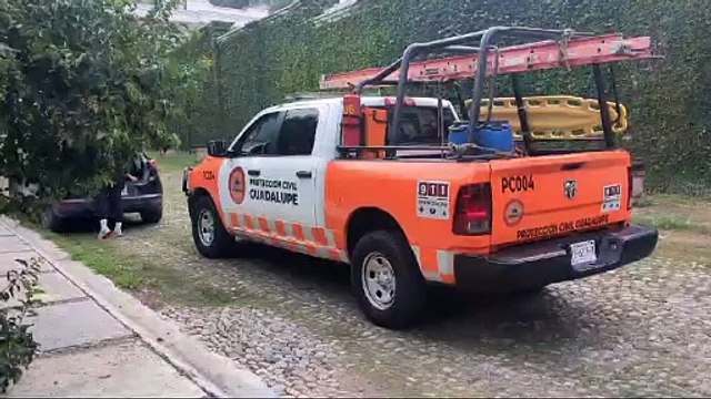 Guadalupe: rescatan a jabalí arrollado en Contry la Silla
