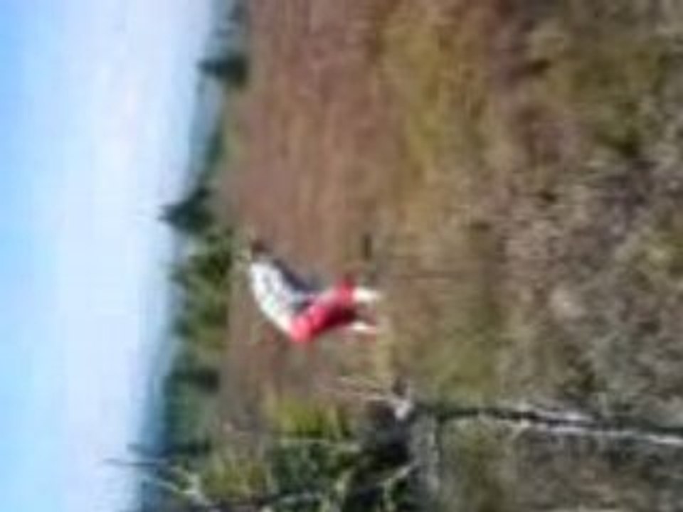 LES PLANTES GRASSES DU PiLAT