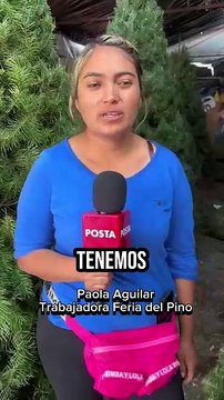 Feria del Pino: Regios acuden a comprar todo para Navidad